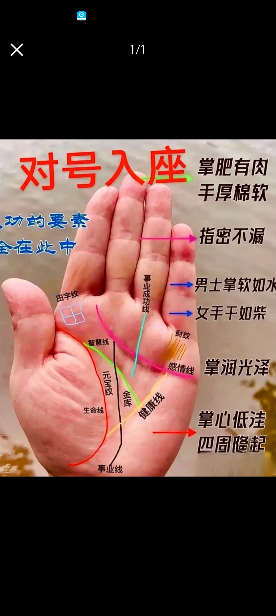 掌艄是什么意思(掌艄是什么意思啊?) 掌艄是什么意思(掌艄是什么意思啊?)