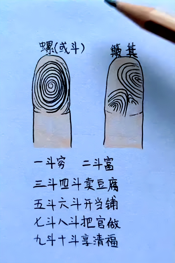 斗(斗罗大陆2绝世唐门在线观看全集) 斗(斗罗大陆2绝世唐门在线观看全集)