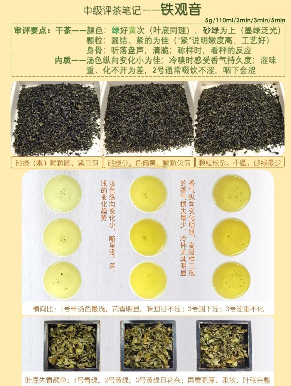 铁观音春茶好还是秋茶好(铁观音春茶好还是秋茶好?) 铁观音春茶好还是秋茶好(铁观音春茶好还是秋茶好?)