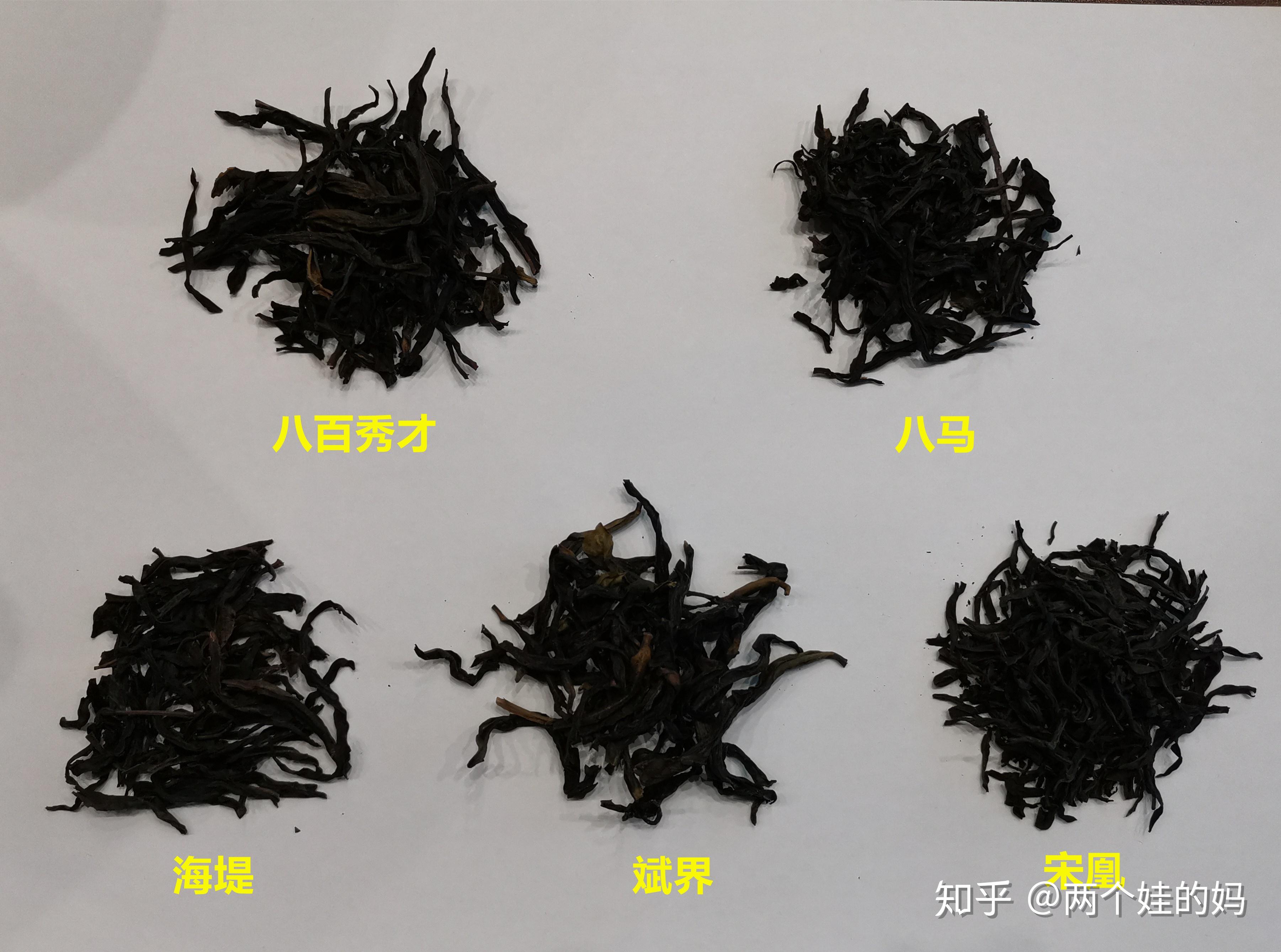 单枞的枞怎么念(单枞的拼音怎么读)