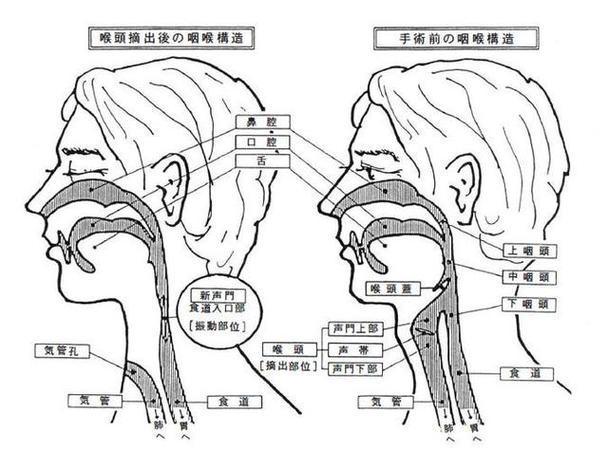 声势的意思(干打雷不下雨虚张声势的意思) 声势的意思(干打雷不下雨虚张声势的意思)