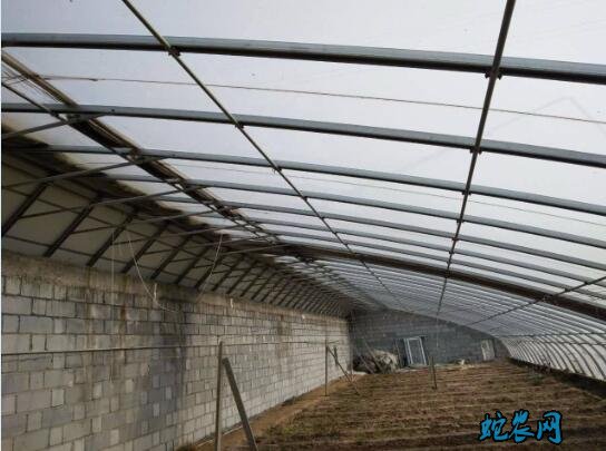 4亩大棚一年能挣多少钱(4亩大棚一年能挣多少钱呢) 4亩大棚一年能挣多少钱(4亩大棚一年能挣多少钱呢)