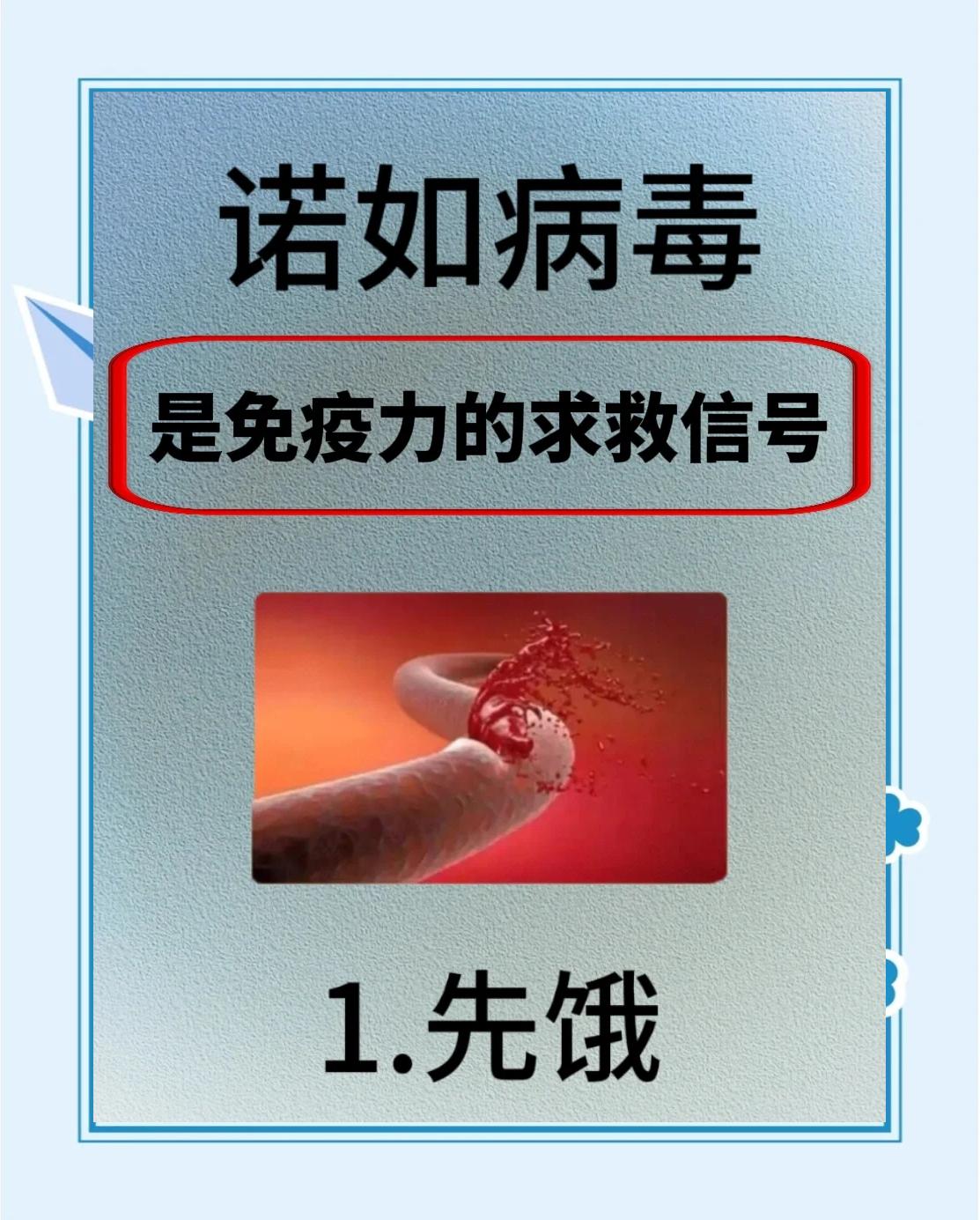 诺瓦克病毒(诺瓦克病毒是诺如病毒吗) 诺瓦克病毒(诺瓦克病毒是诺如病毒吗)