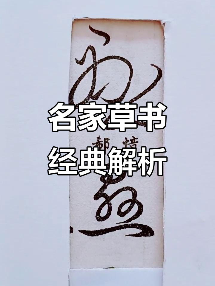 悬(悬案演员表)