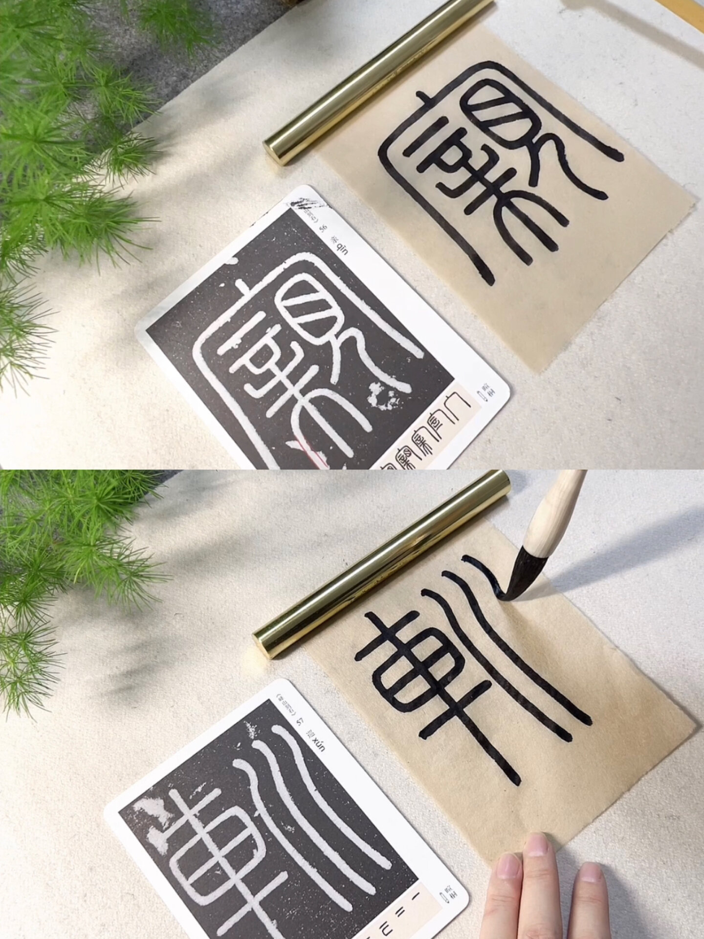 亲组词(亲组词造句)