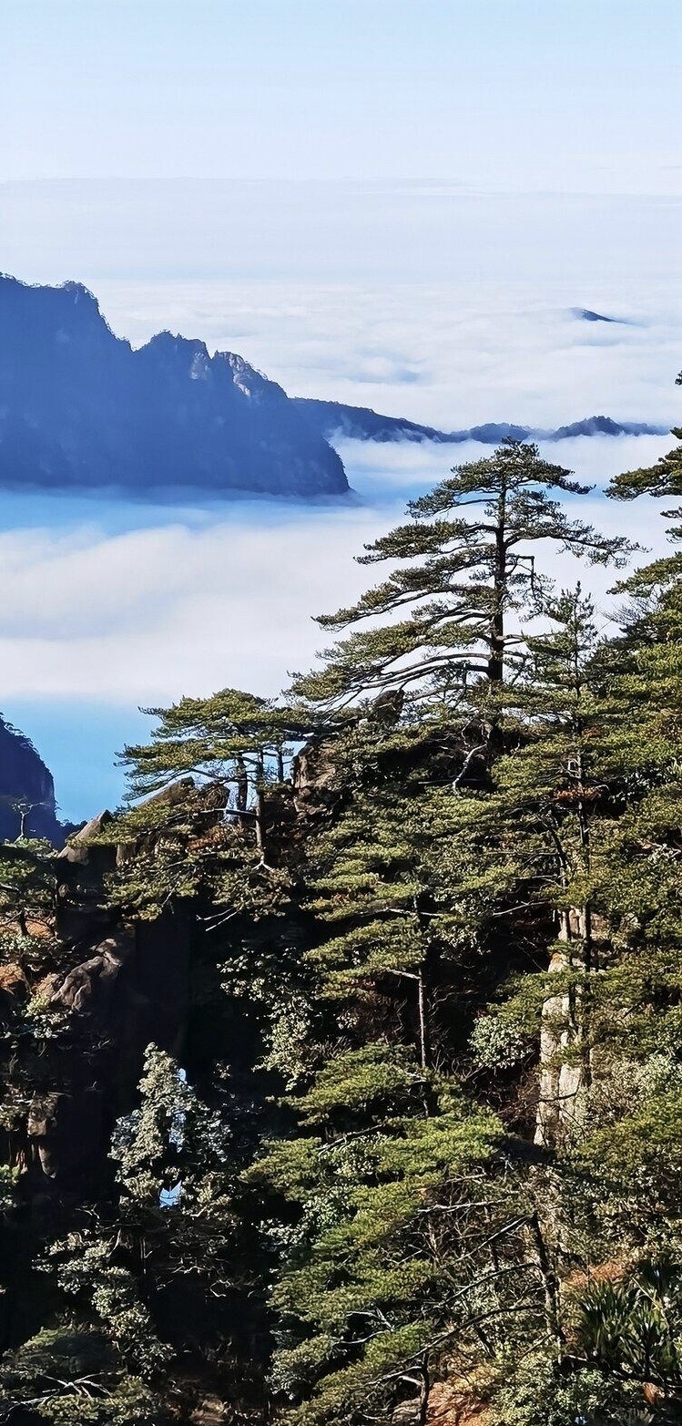 岫(岫玉图片)