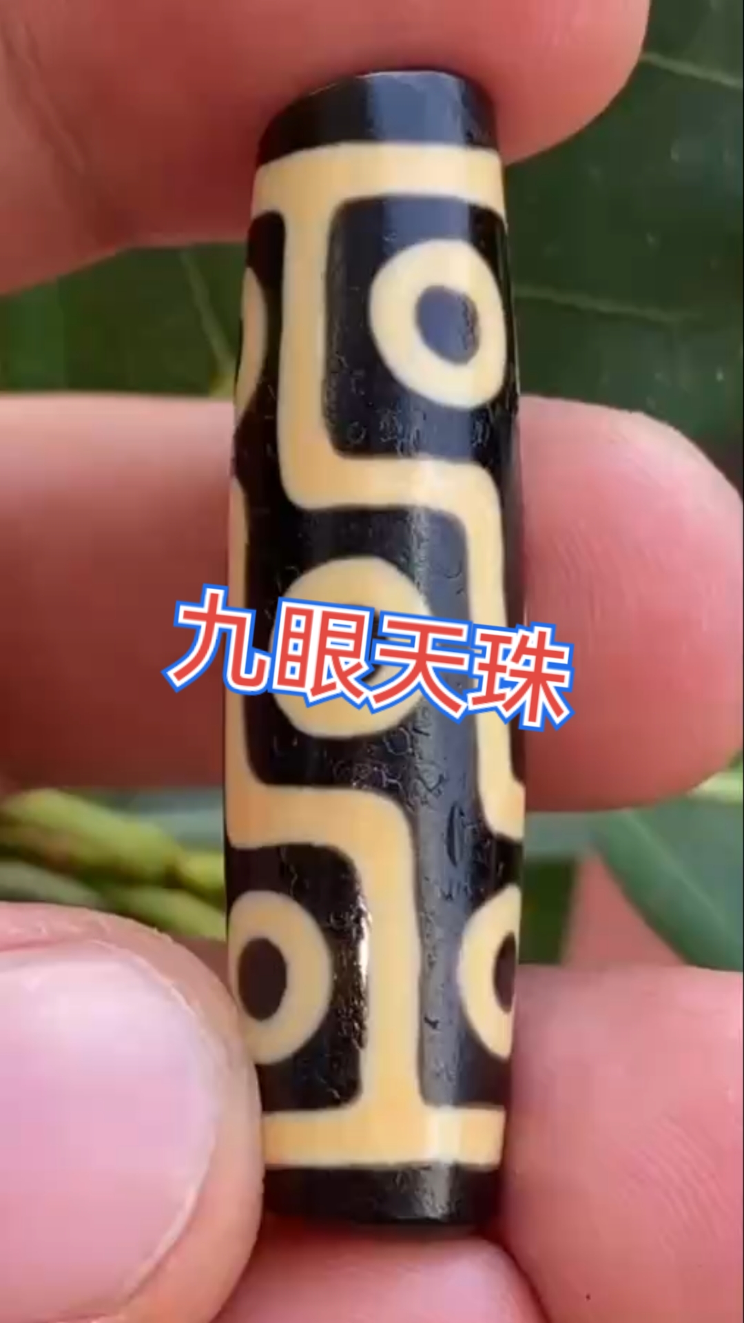 九眼天珠真品价格(西藏九眼天珠真品价格)