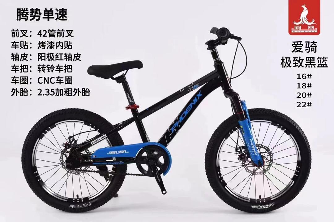 十大儿童自行车品牌(品牌儿童自行车排行榜) 十大儿童自行车品牌(品牌儿童自行车排行榜)
