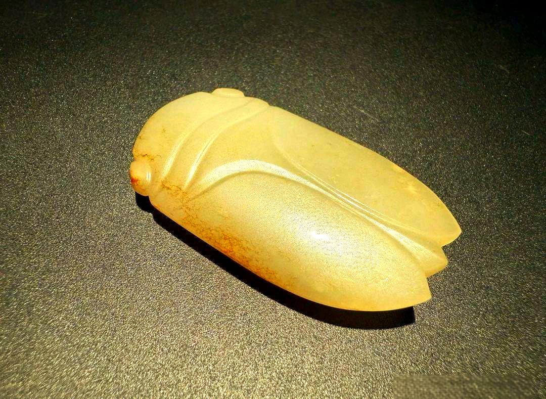 玉蝉(玉蝉的意思)