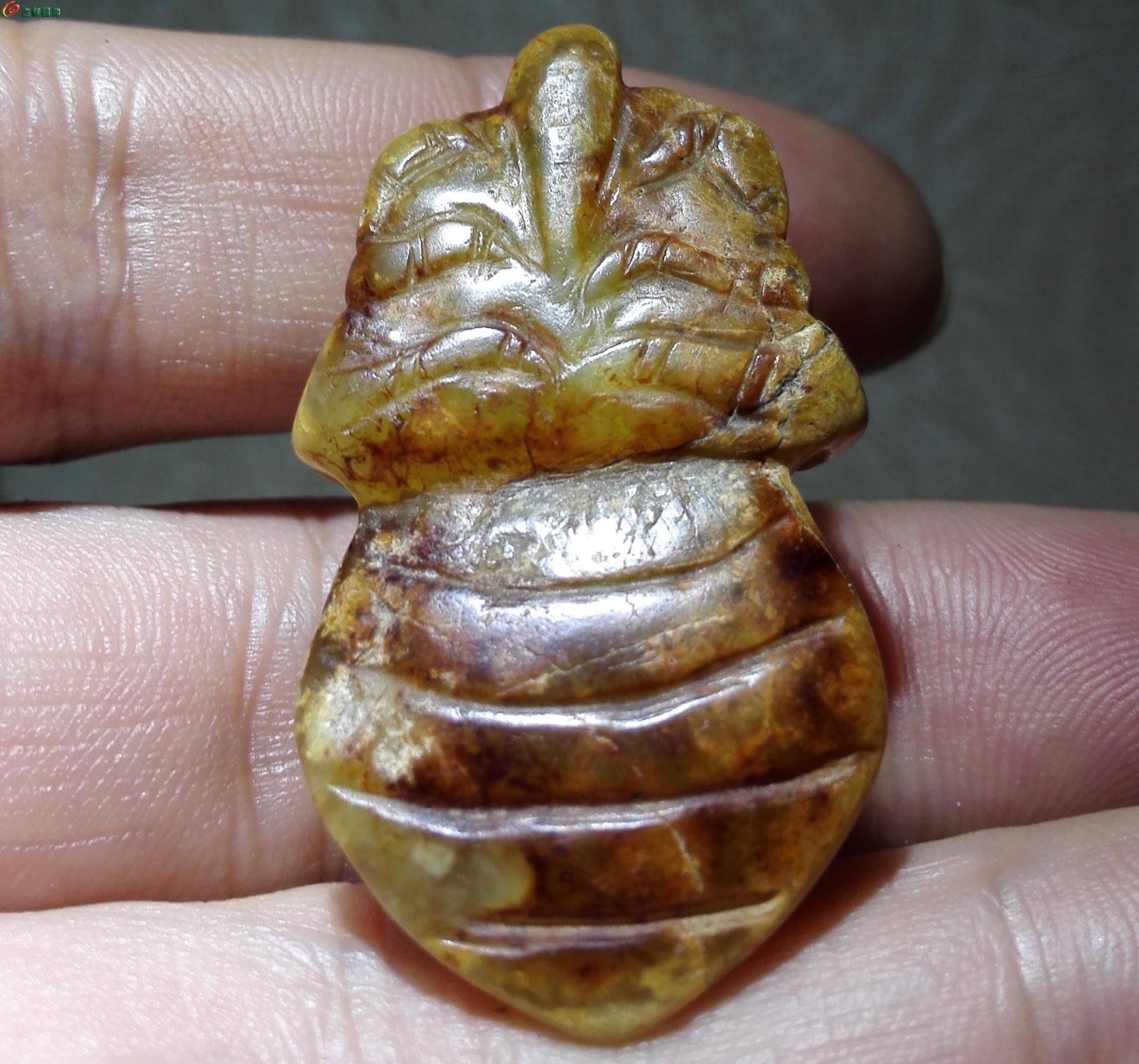 玉蝉(玉蝉的意思) 玉蝉(玉蝉的意思)