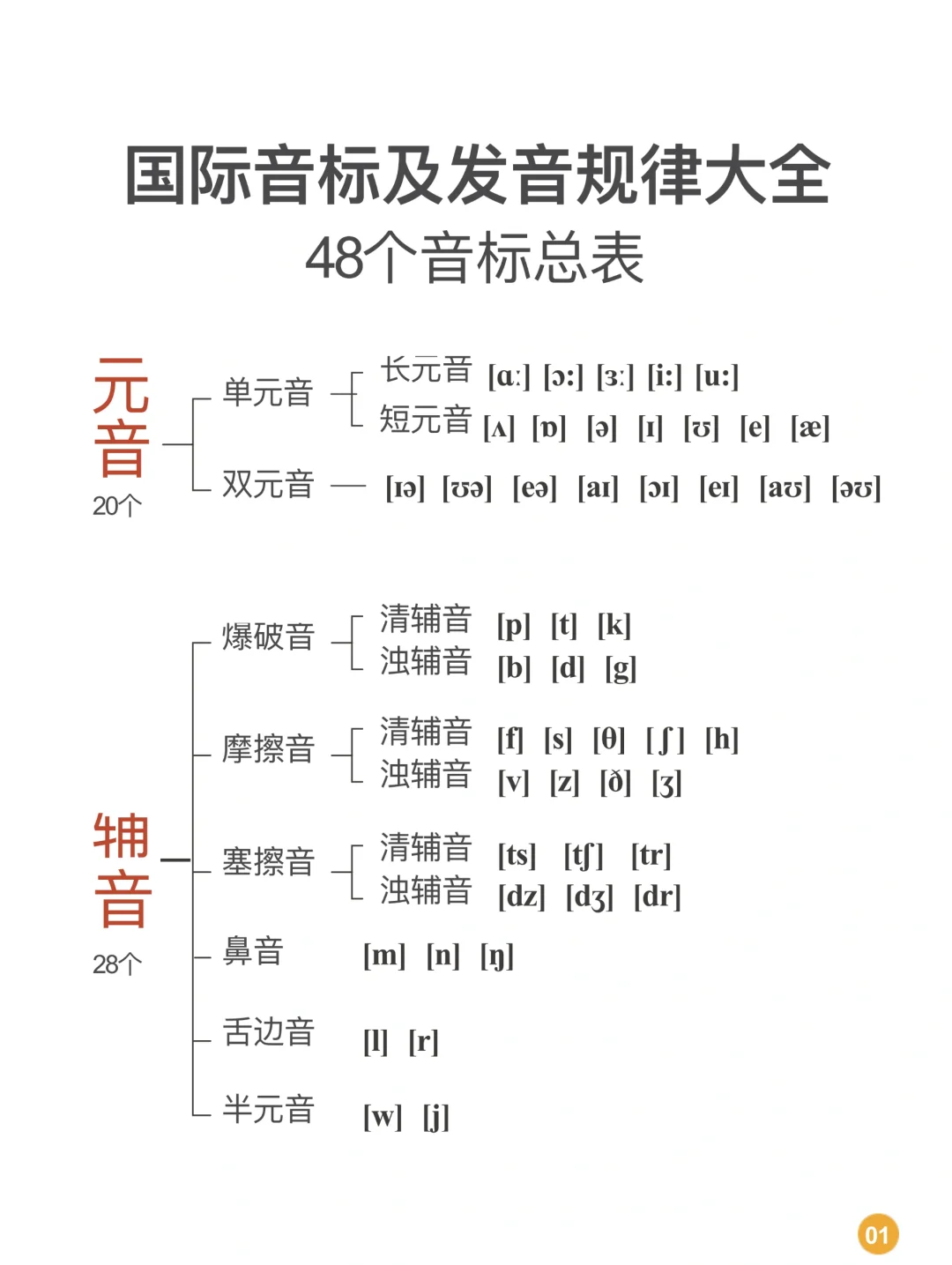 辅怎么读(辅怎么读 拼音)