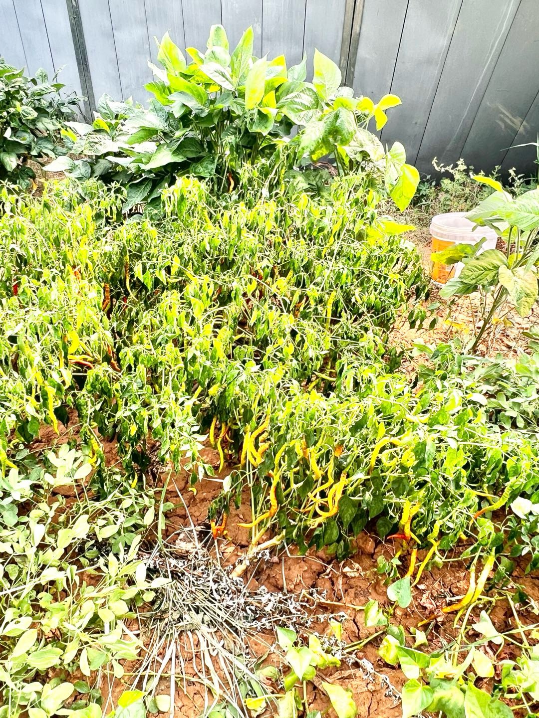 资阳市雁江区天气(资阳市雁江区天气24小时预报) 资阳市雁江区天气(资阳市雁江区天气24小时预报)