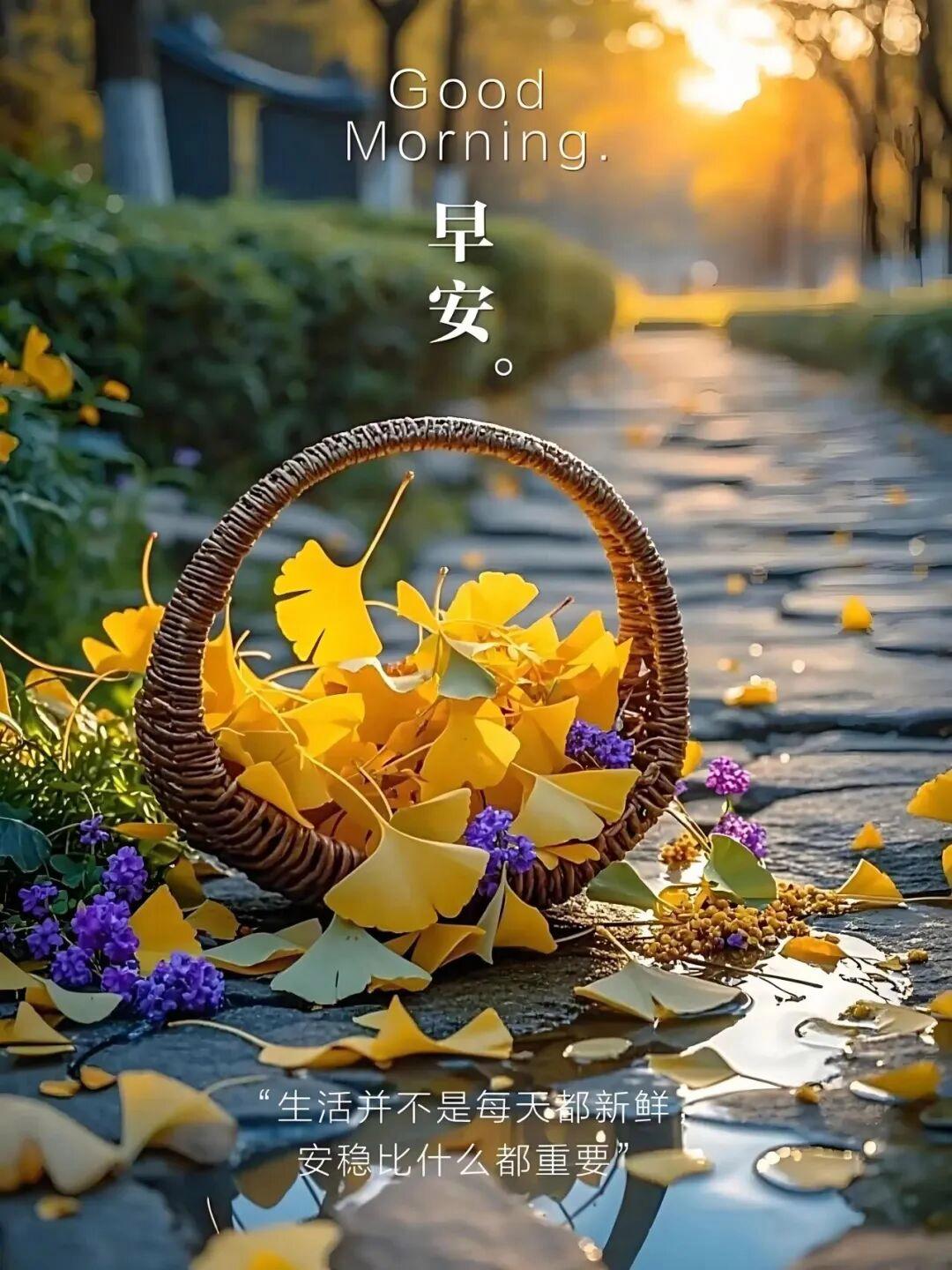 2022最火发朋友圈早安短句(2021年最流行朋友圈早安句子)