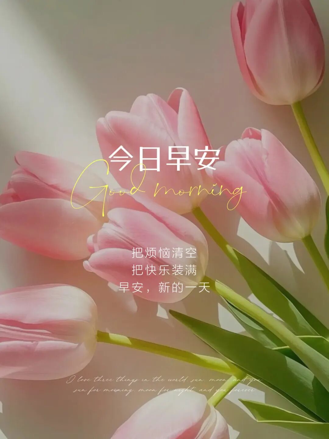2022最火发朋友圈早安短句(2021年最流行朋友圈早安句子) 2022最火发朋友圈早安短句(2021年最流行朋友圈早安句子)