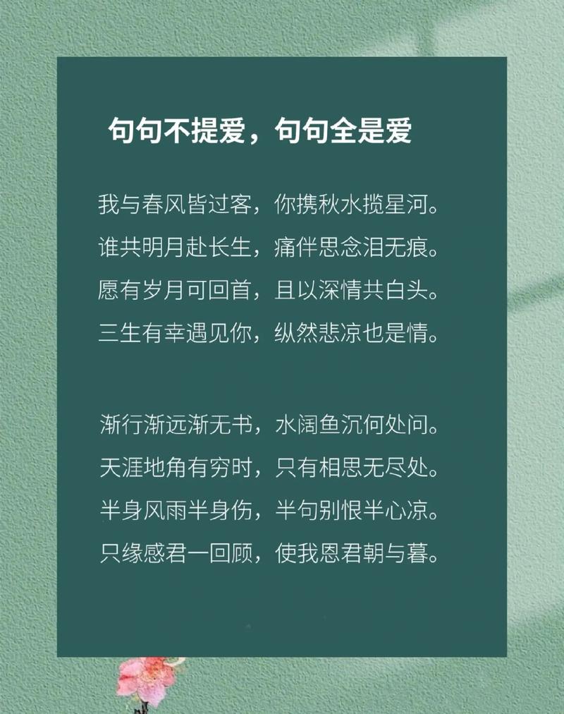 古代爱情诗句经典语录(古代爱情诗句经典语录摘抄)