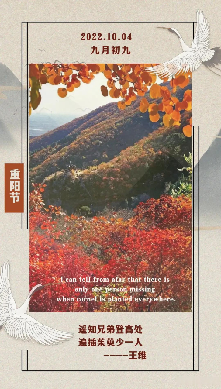 重阳节是农历几月几日(重阳节是农历几月几日要干什么)