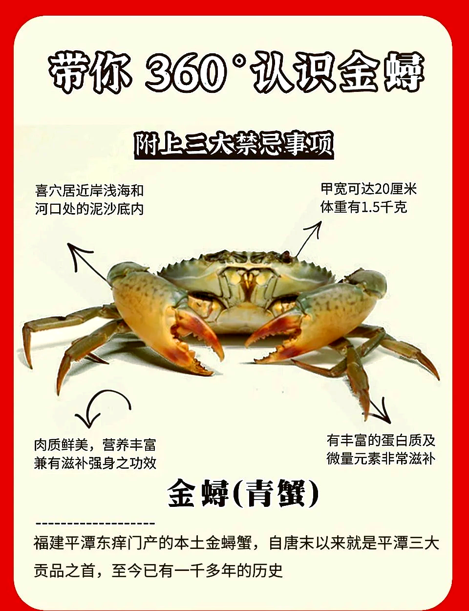 鲟的拼音(鲟鱼的拼音)