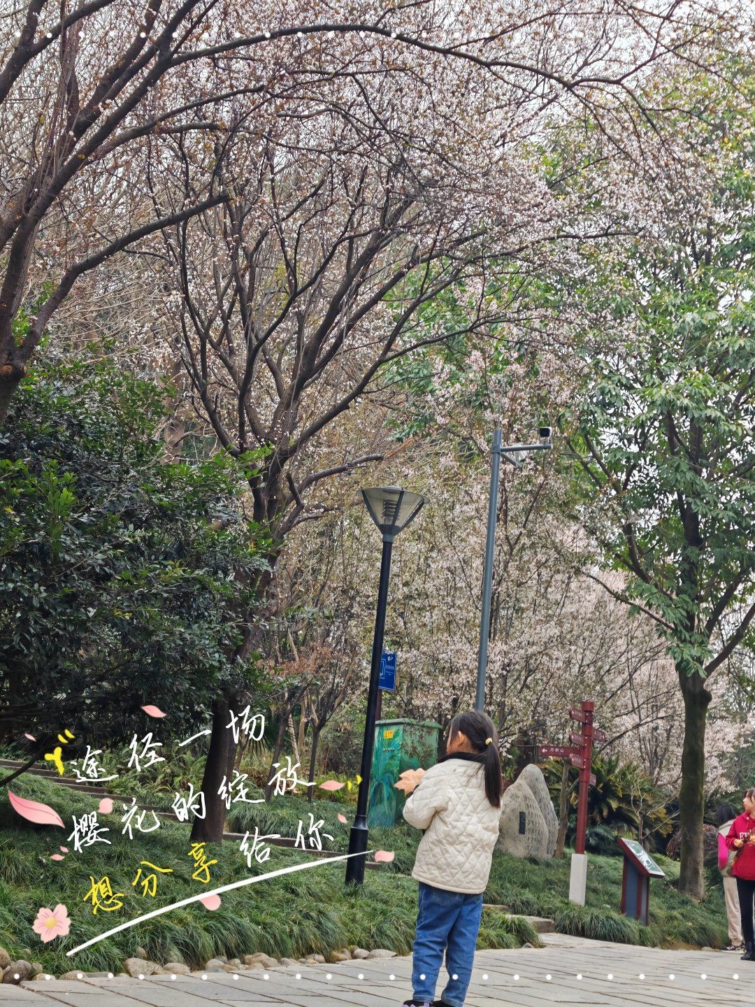 武侯区天气(四川成都武侯区天气)