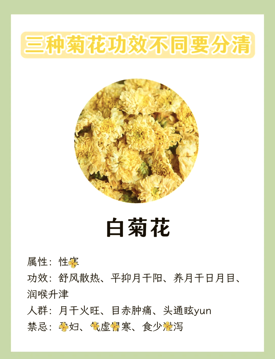 菊花甘草泡水喝的功效(蒲公英菊花甘草泡水喝的功效)