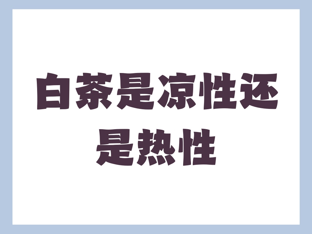 白茶属于热性茶还是凉性茶(白茶属于热性茶还是凉性茶呢) 白茶属于热性茶还是凉性茶(白茶属于热性茶还是凉性茶呢)