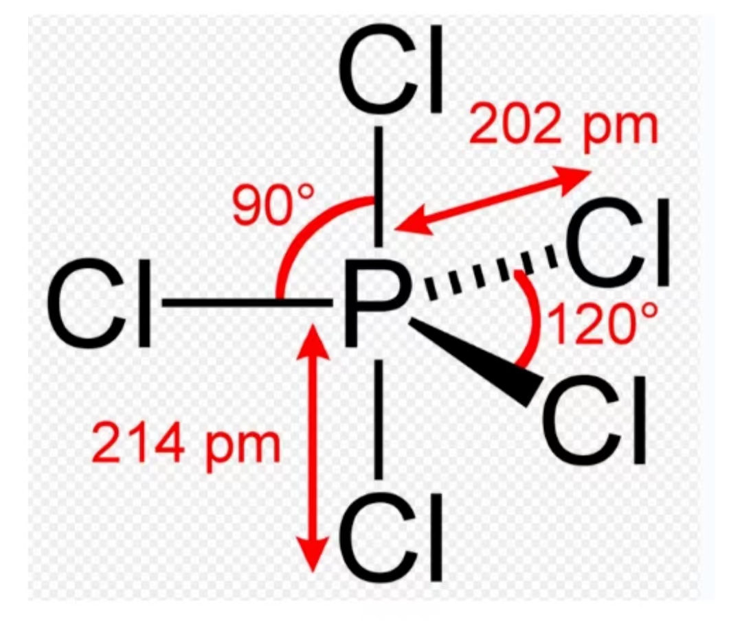 极性分子的定义(极性分子的判定依据) 极性分子的定义(极性分子的判定依据)