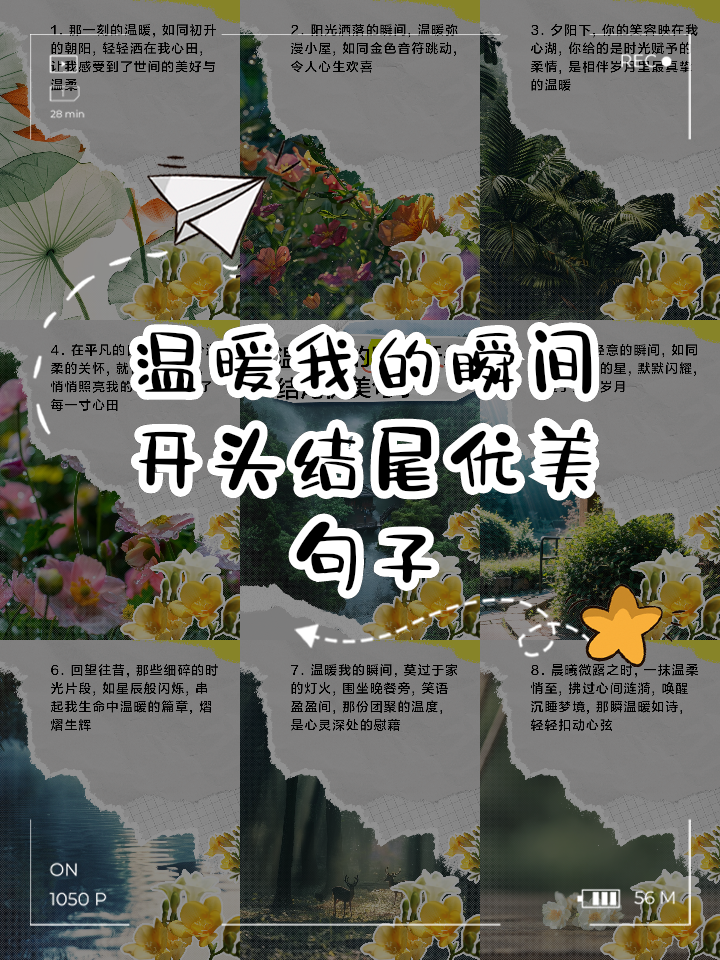 定格美好瞬间的句子(用镜头留住时光的美句)