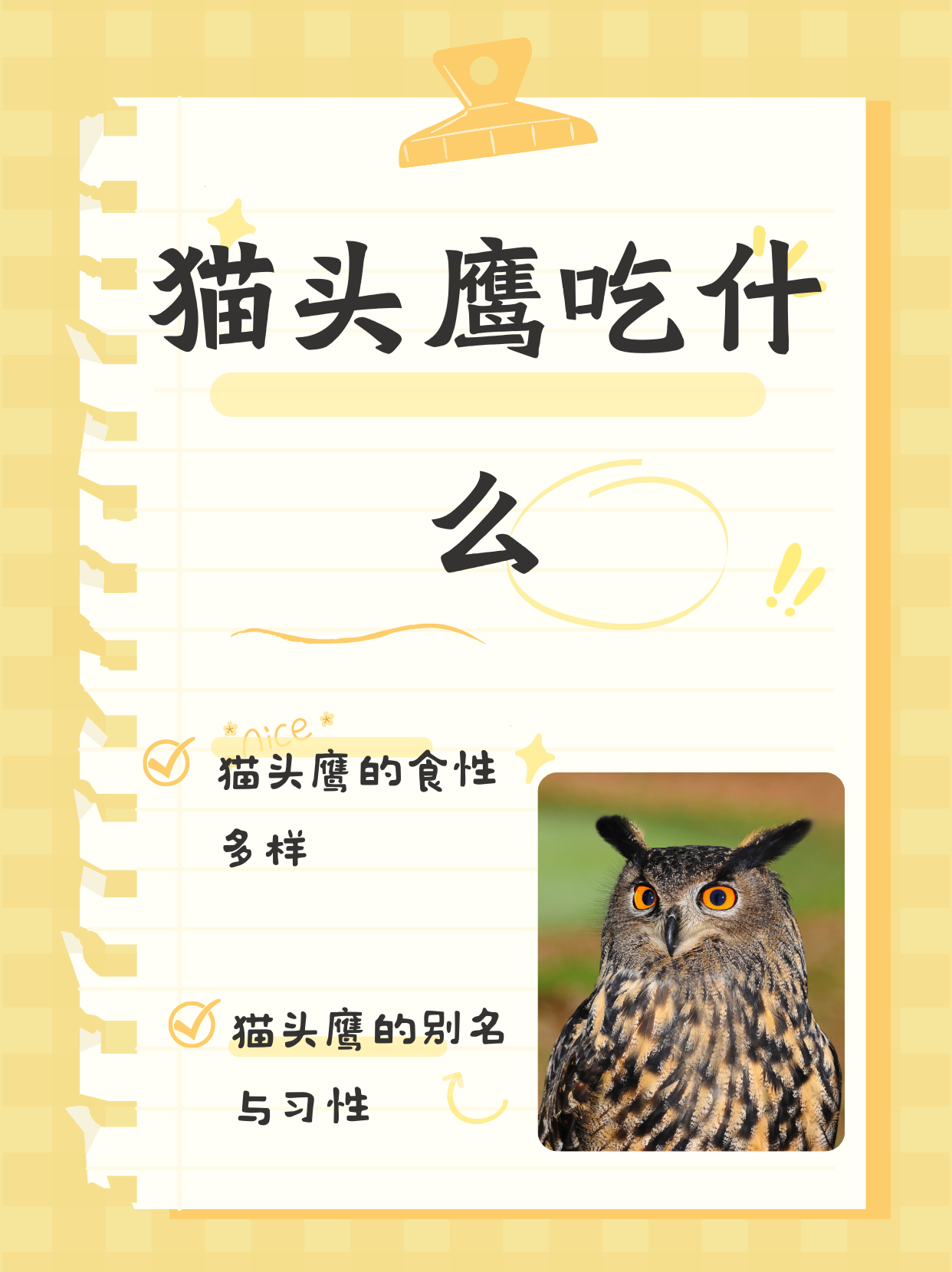 鹫怎么读(秃鹫怎么读) 鹫怎么读(秃鹫怎么读)