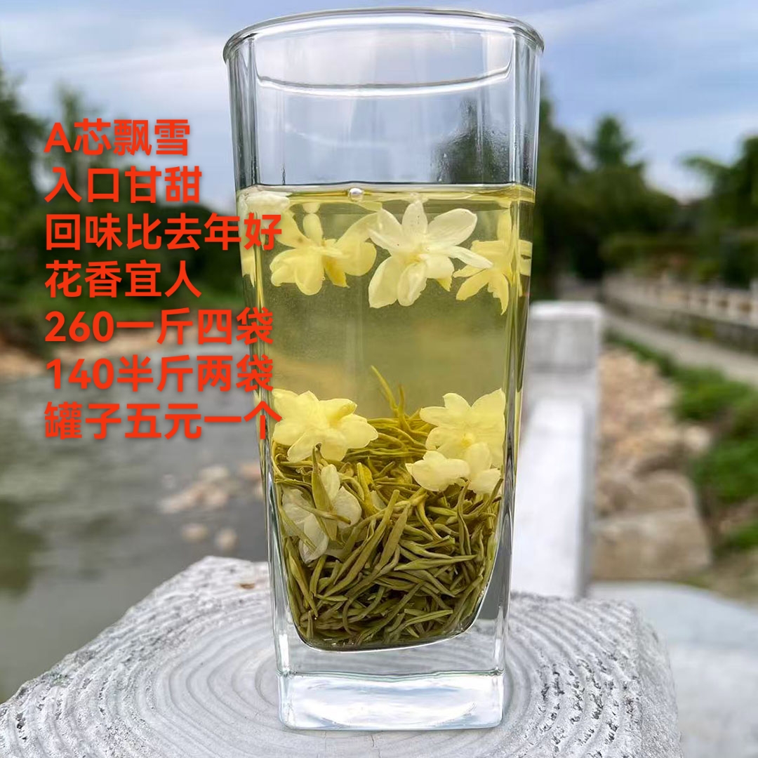 飘雪茶的功效与作用(半堤古树茉莉飘雪茶的功效与作用)