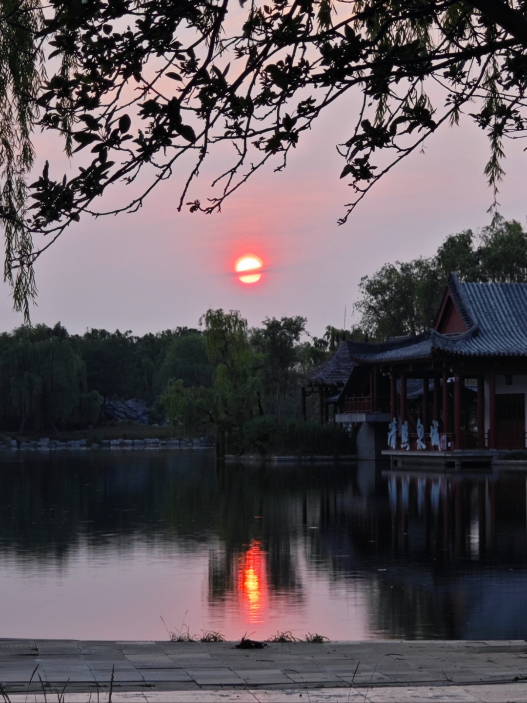 夕阳西下的下一句是什么(夕阳西下的下一句是什么意思)
