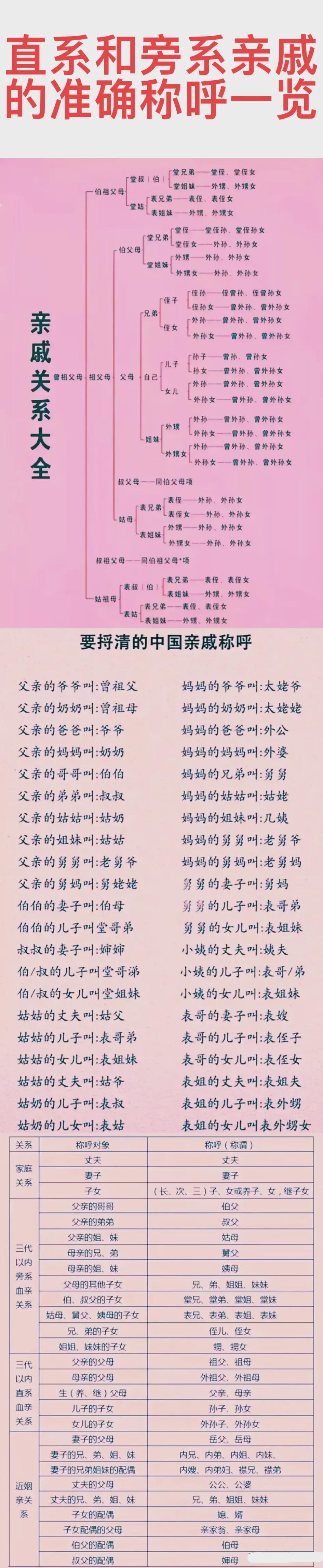 侪辈的意思(侪辈的拼音怎么读) 侪辈的意思(侪辈的拼音怎么读)