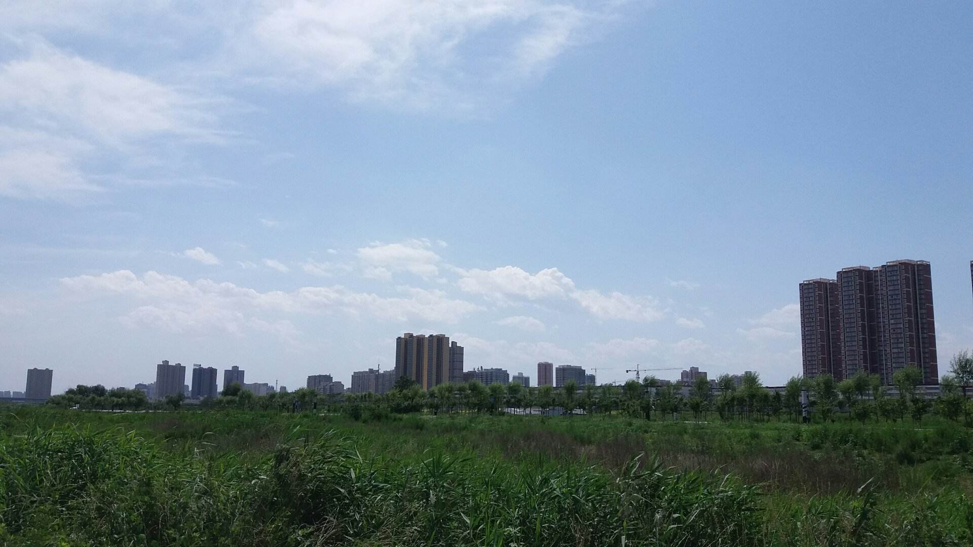 咸阳一周天气预报(陕西西安天气预报15天查询) 咸阳一周天气预报(陕西西安天气预报15天查询)