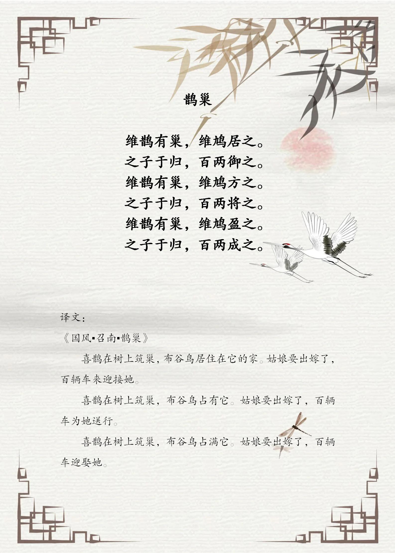 鸠怎么读(鹘鸠怎么读) 鸠怎么读(鹘鸠怎么读)