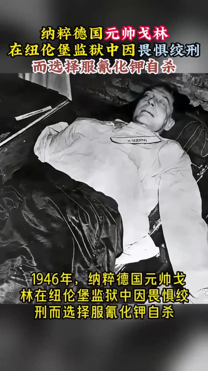 纳粹德国27名元帅的最后结局(纳粹德国27名元帅的最后结局是什么)