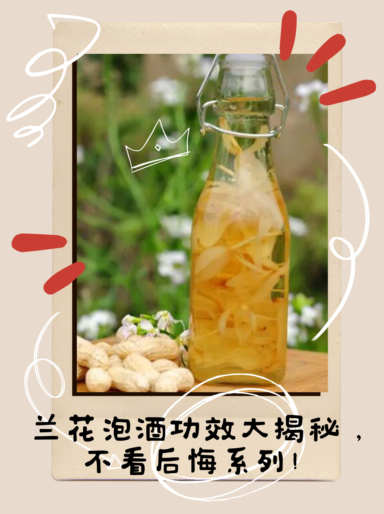 马头兰花的功效与作用(马头兰花的功效与作用及禁忌)