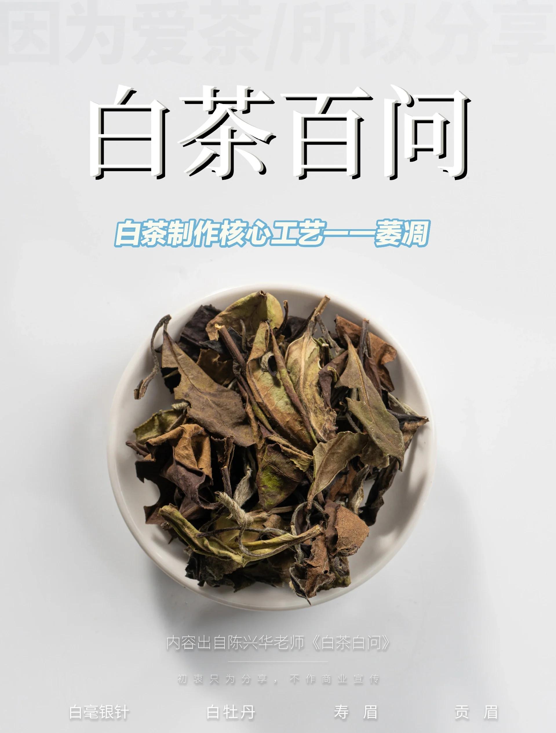 福鼎白茶最好的三个品牌(福鼎白茶哪个品牌性价比高)