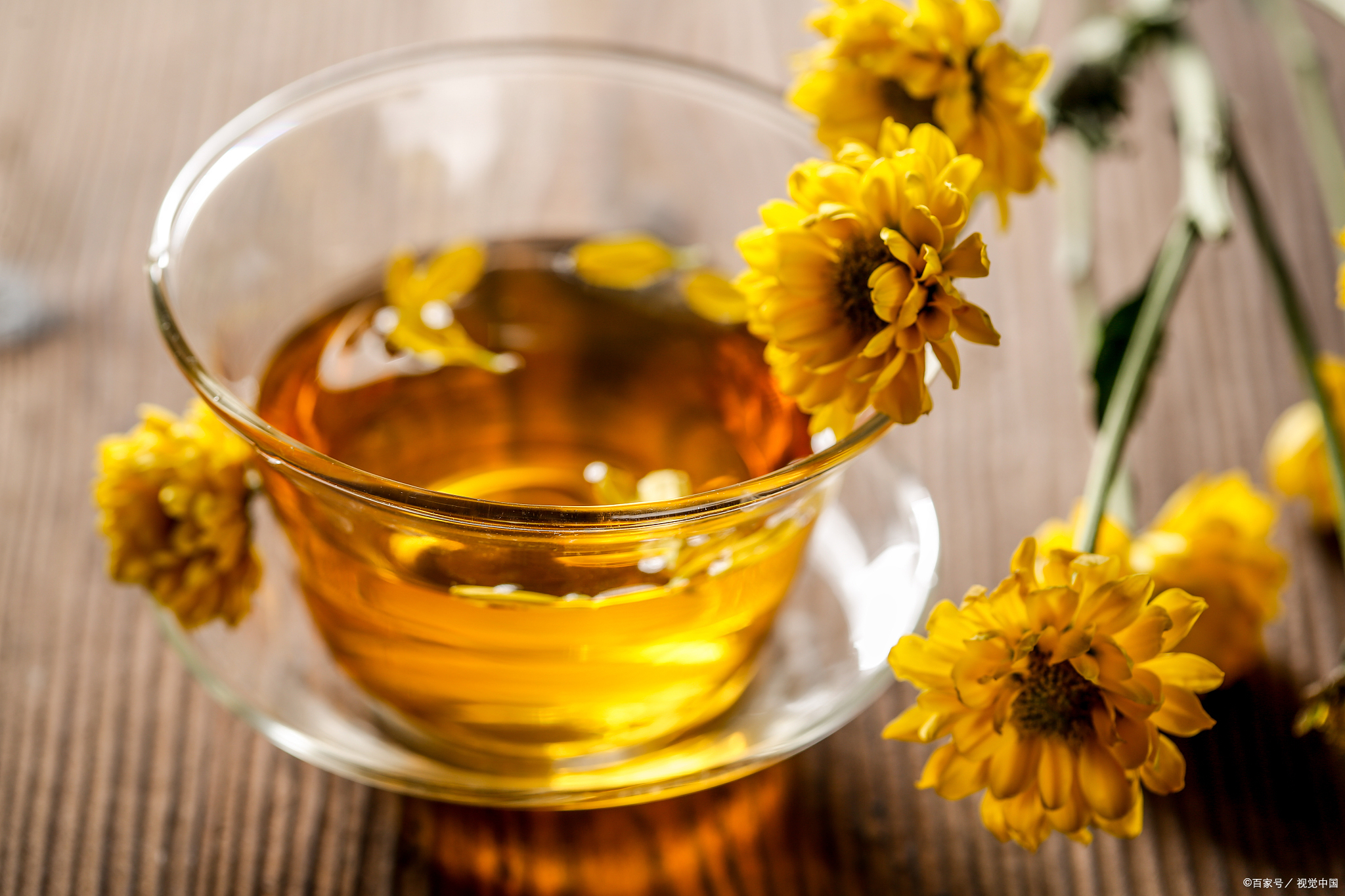 菊花茶和什么一起泡好(菊花茶和什么一起泡水有什么好处)