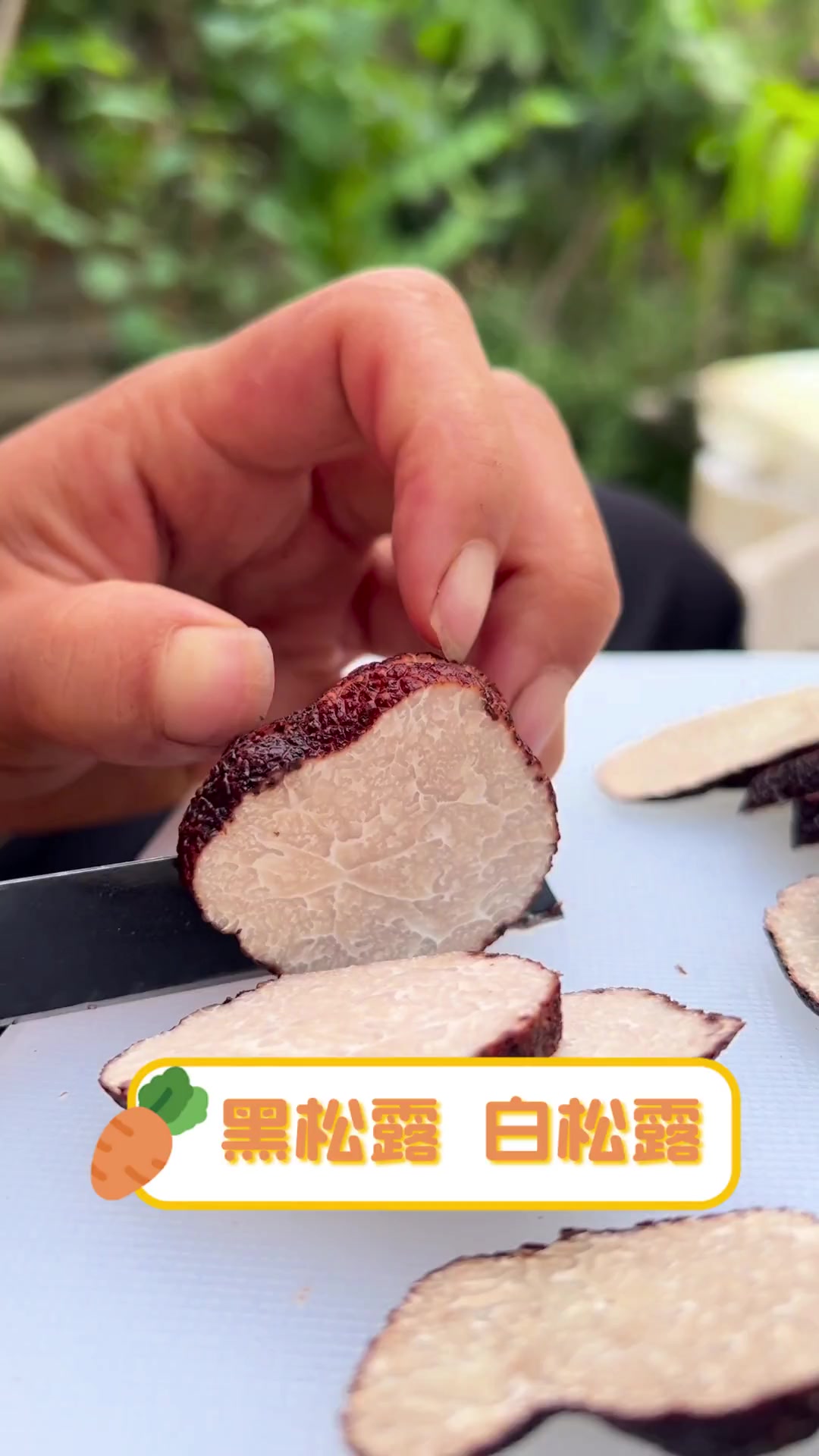 白松露是什么(阿尔巴白松露是什么)