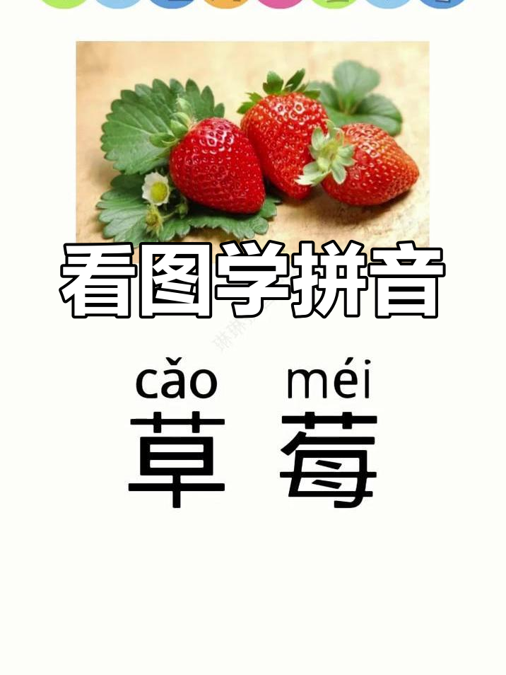 蔬的拼音(萝卜的拼音)