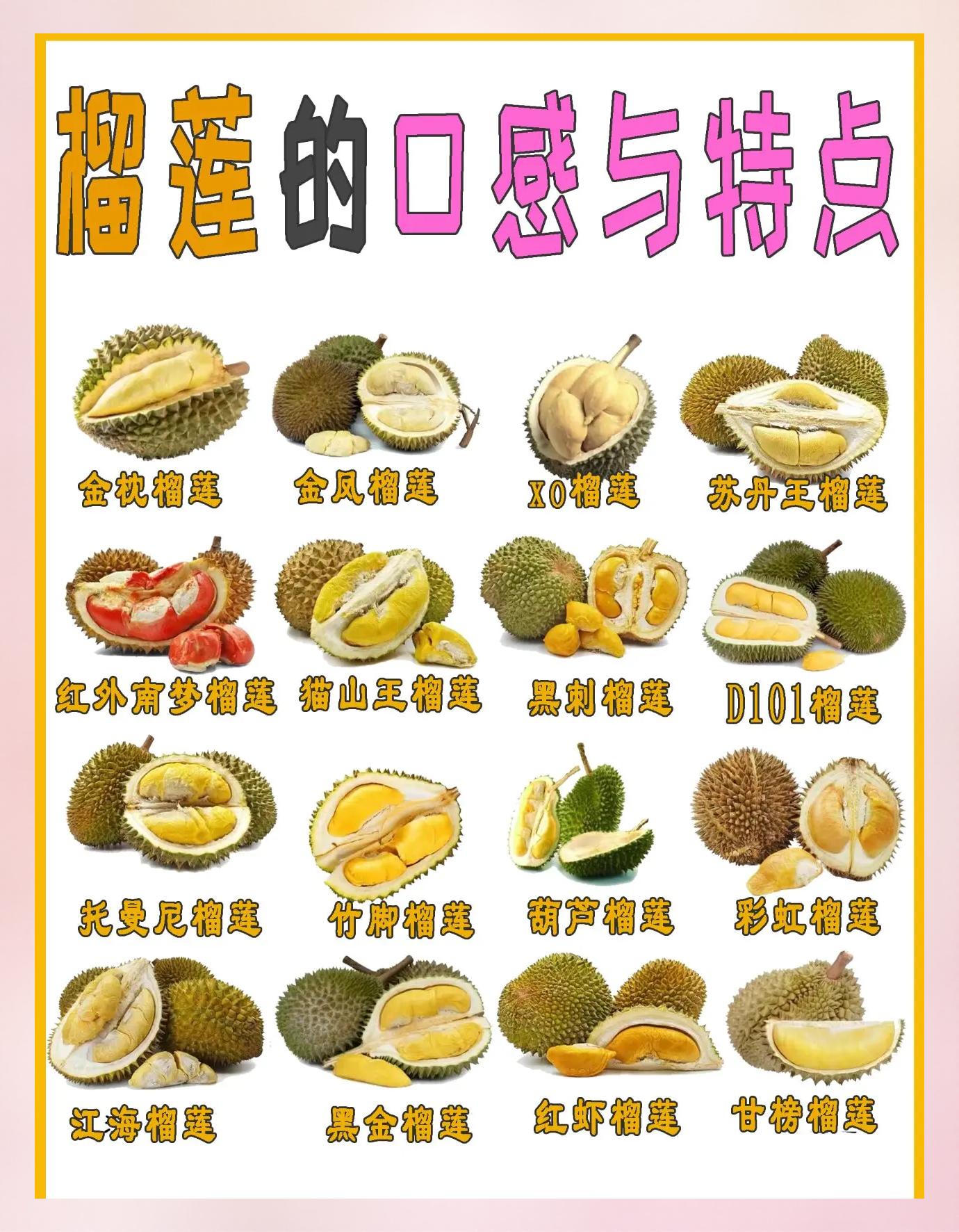 榴莲品牌十大排名(榴莲品牌十大排名榜)