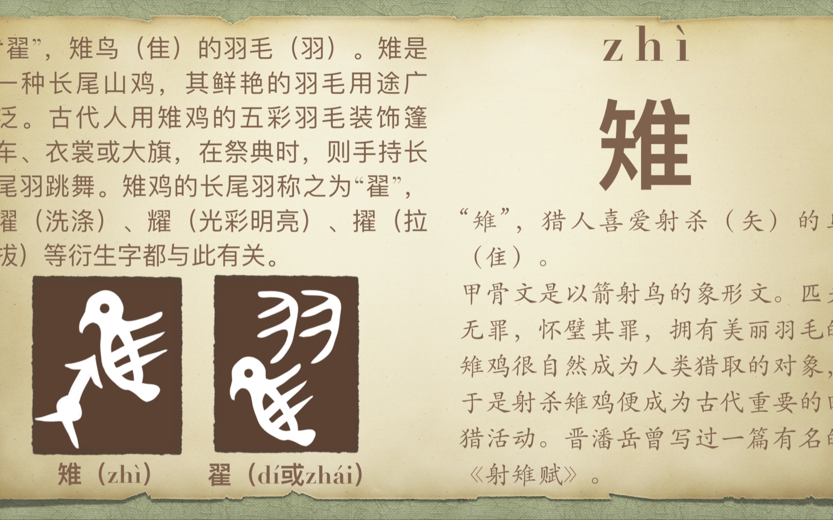 鹑怎么读(红喉雉鹑怎么读) 鹑怎么读(红喉雉鹑怎么读)
