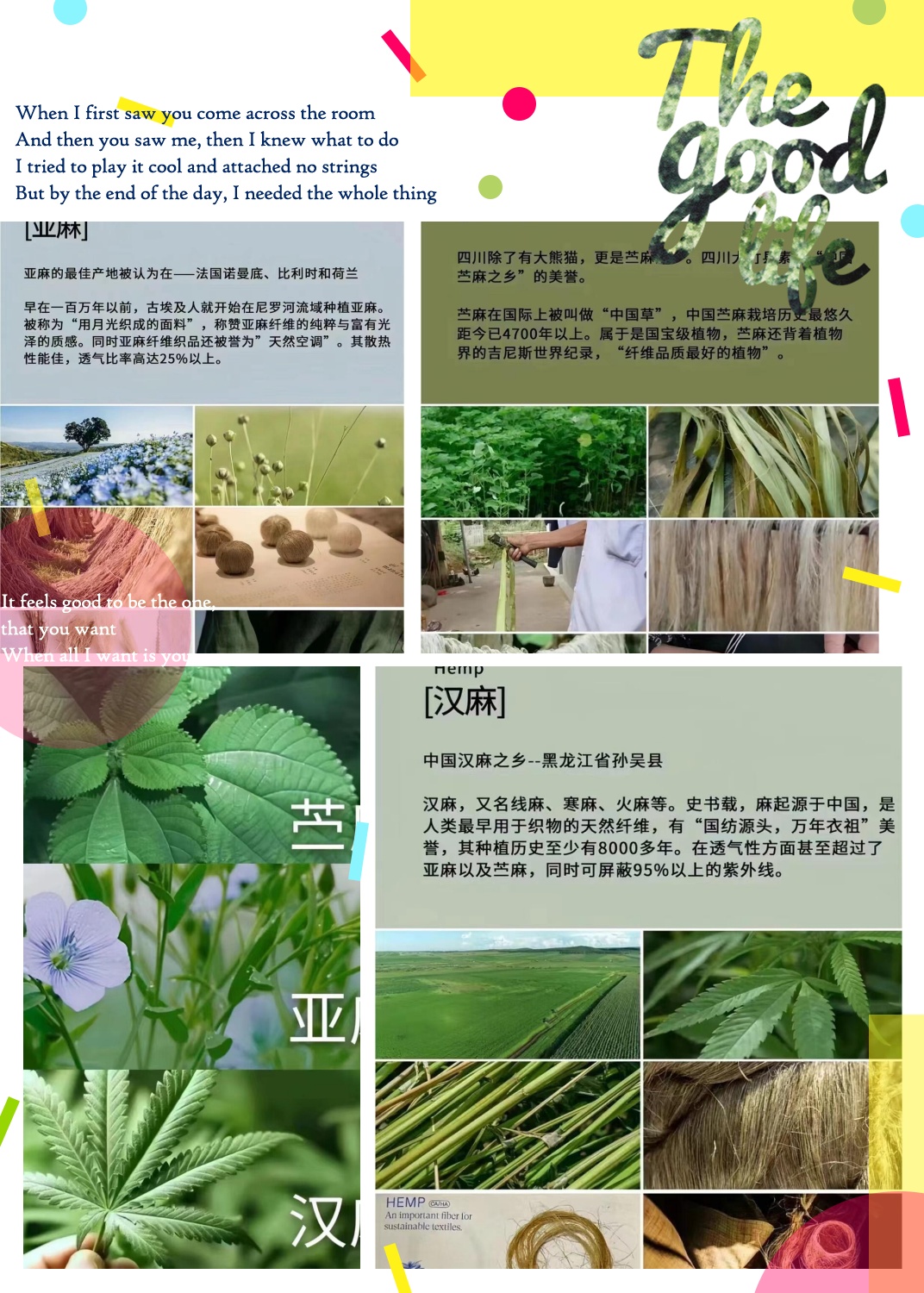 苎麻和亚麻哪个贵(亚麻和苧麻哪个凉快)