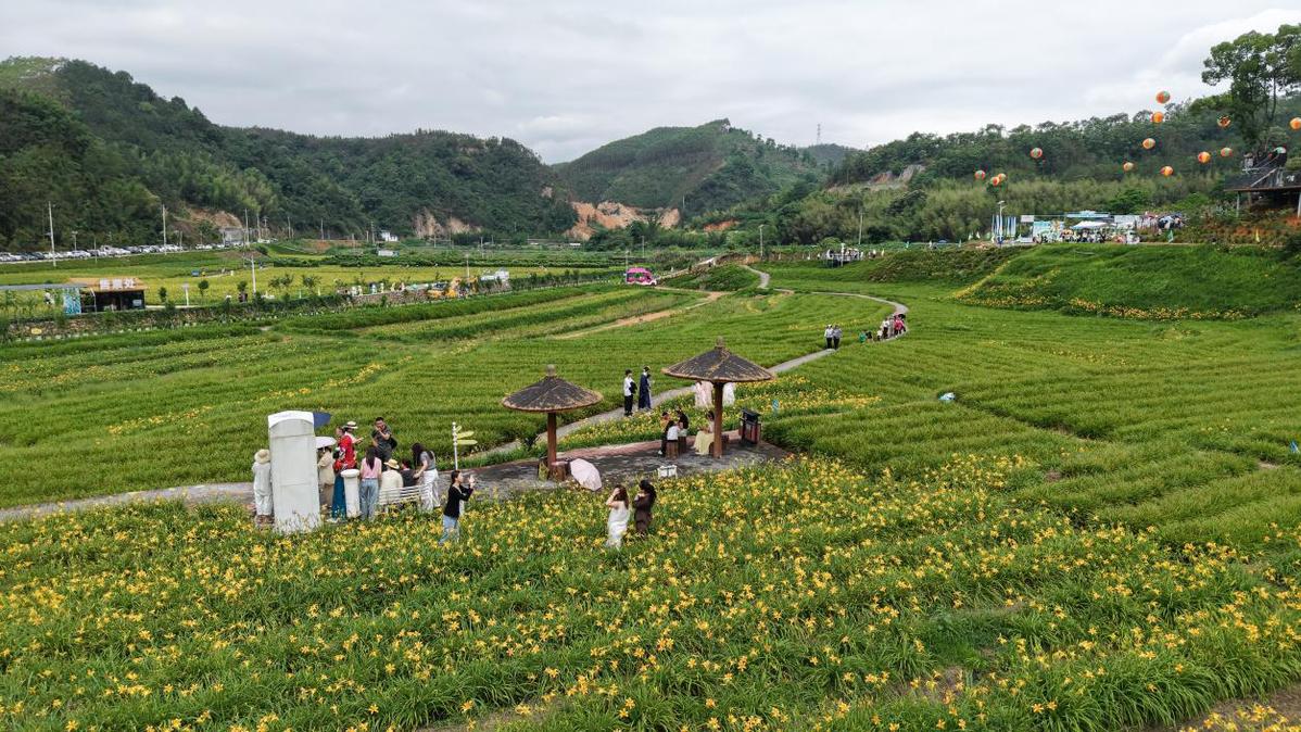漳平市属于哪个市(漳平市属于哪个市管辖) 漳平市属于哪个市(漳平市属于哪个市管辖)