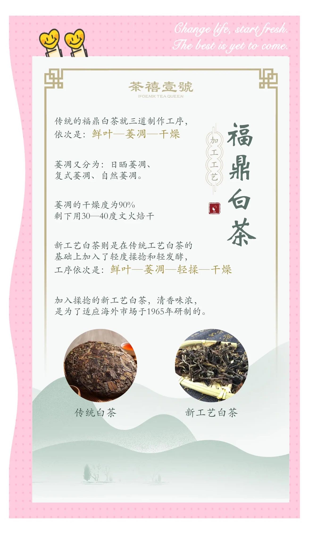 白茶适合什么季节喝(白茶适合什么季节喝功效) 白茶适合什么季节喝(白茶适合什么季节喝功效)