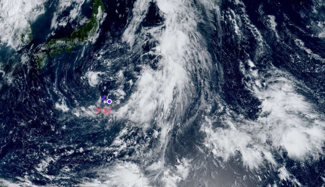 今年5号台风(今年5号台风什么时候登陆)