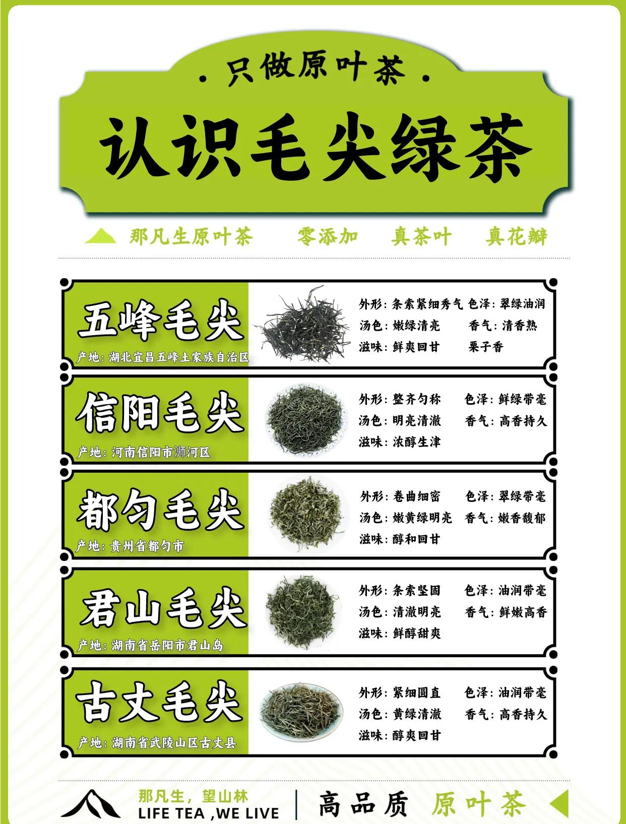 信阳毛尖的功效(信阳毛尖的功效与作用及食用方法) 信阳毛尖的功效(信阳毛尖的功效与作用及食用方法)