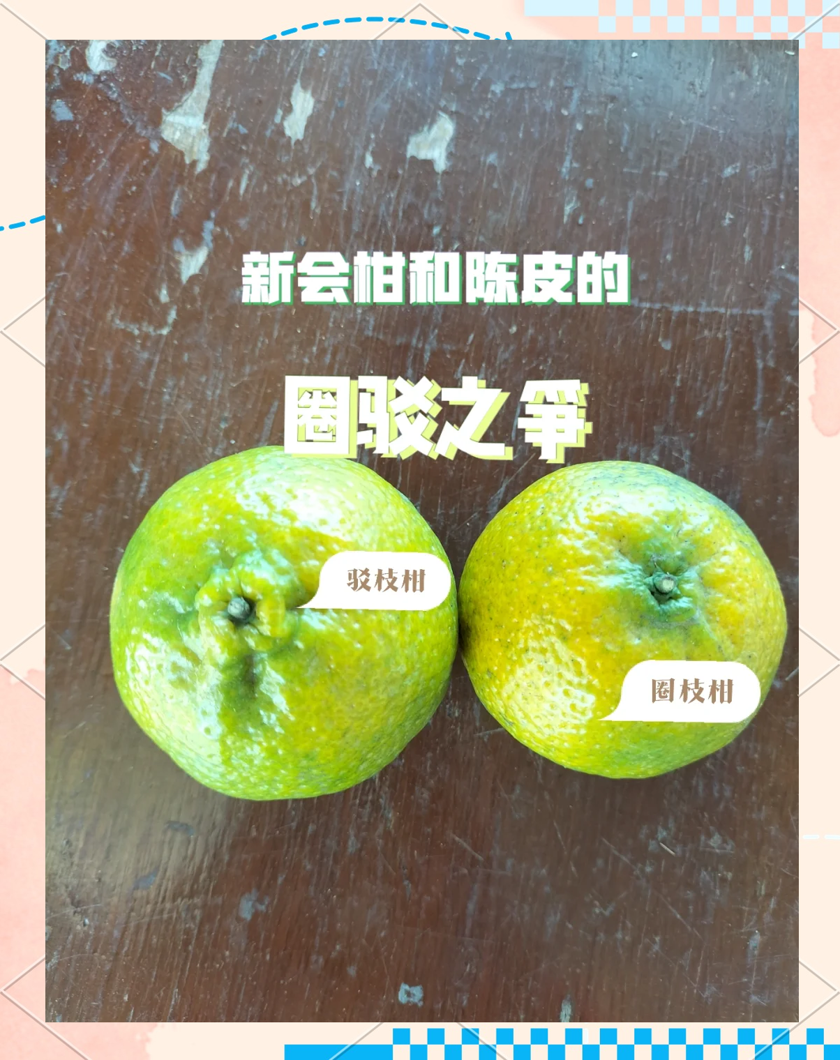 圈枝与原枝陈皮的区别(圈枝陈皮与原枝陈皮的区别)