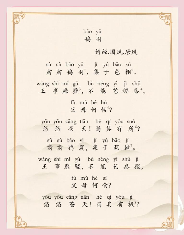 雁的拼音(雁的拼音字)