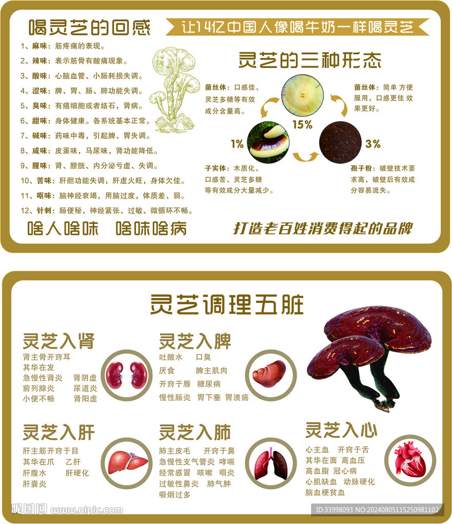 灵芝片泡水喝的功效与作用(灵芝片泡水喝的功效与作用 视频)