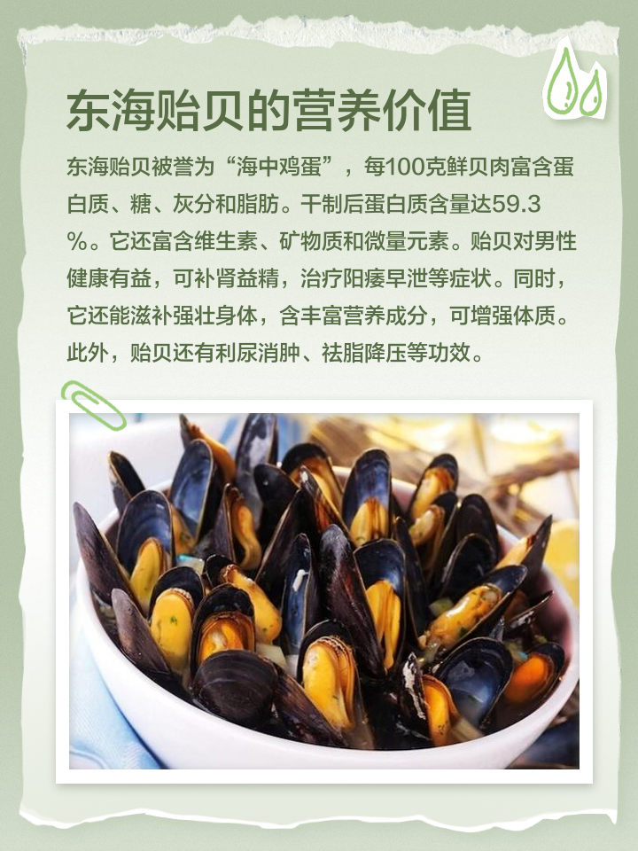 海菜的功效作用与禁忌(海菜的功效作用与禁忌是什么) 海菜的功效作用与禁忌(海菜的功效作用与禁忌是什么)