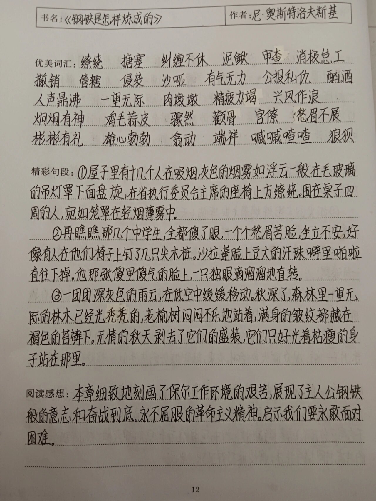 钢铁是怎样炼成的每章阅读感受(钢铁是怎样炼成 的每章阅读感受)